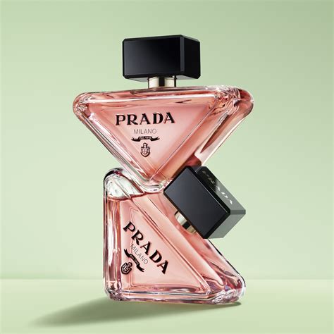 prada paradoxal|prada paradoxe outer box.